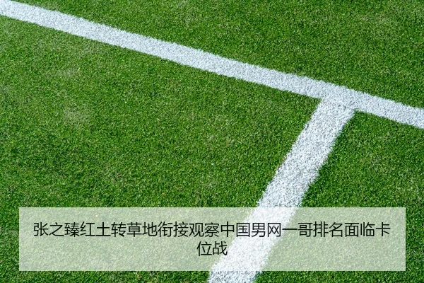 zhang-zhi-zhen-hong-tu-zhuan-cao-di-xian-jie-guan-cha-zhong-guo-nan-wang-yi-ge-pai-ming-mian-lin-ka-wei-zhan-2-476.jpg
