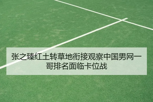 zhang-zhi-zhen-hong-tu-zhuan-cao-di-xian-jie-guan-cha-zhong-guo-nan-wang-yi-ge-pai-ming-mian-lin-ka-wei-zhan-1-714.jpg